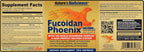 Nature's Bioscience Fucoidan Phoenix Advanced Mushroom - 480 Capsules - image 4