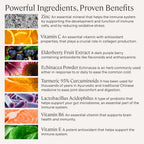 Stonehenge Health Dynamic Immunity Daily Supplement - 60 Capsules - image 4