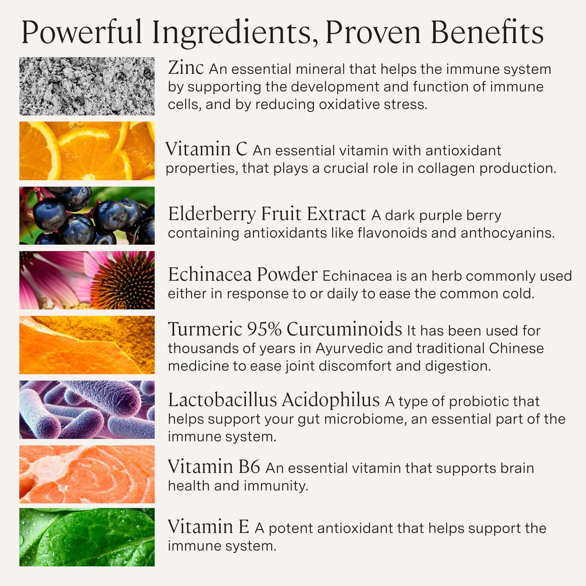 Stonehenge Health Dynamic Immunity Daily Supplement - 60 Capsules - image 4