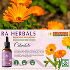 Sun God Medicinals Ra Herbals Organic Calendula Liquid Extract - 1 fl oz - image 3