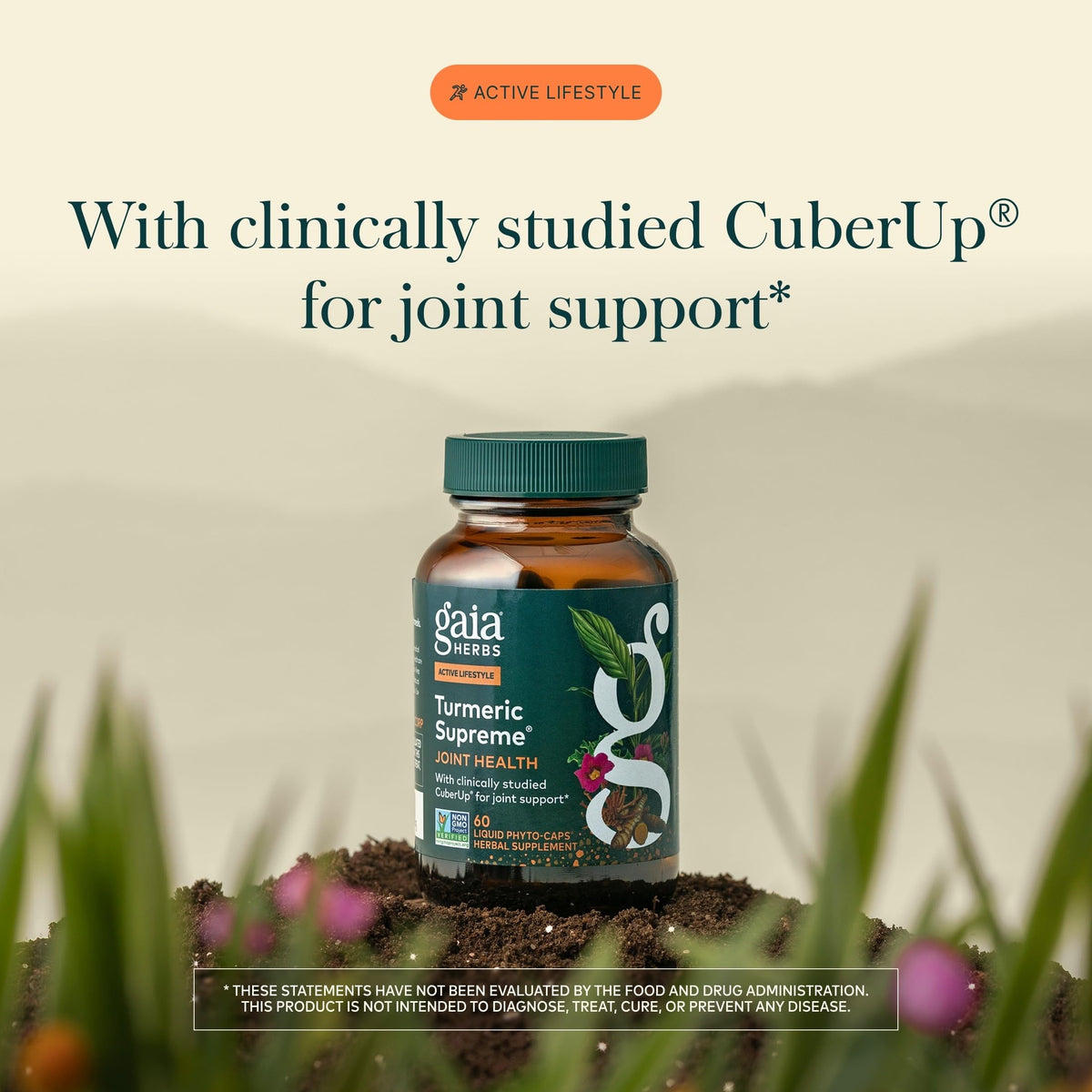 Gaia Herbs Turmeric Supreme Joint Health - Joint Support Supplement