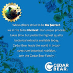 Cedar Bear Naturales Lymphatic Cleanse Adult Liquid Herbal Supplement - 1 Fl Oz - image 5