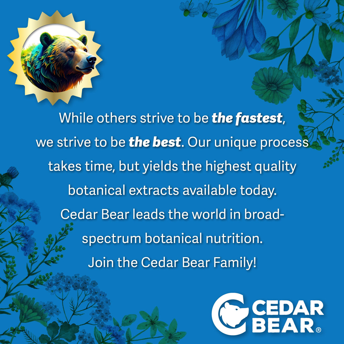 Cedar Bear Naturales Chanca Piedra Liquid Herbal Supplement - 2 Fl Oz - image 5