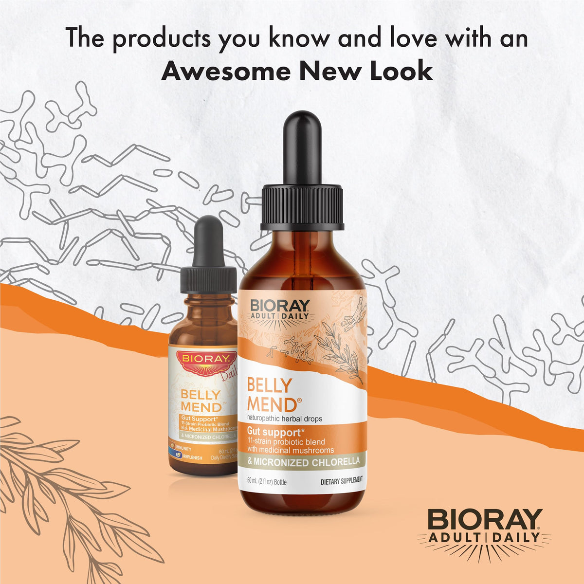 BIORAY Daily Belly Mend Probiotic Liquid for Gut Health - 2 fl oz - image 3