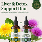 HERBAMAMA USDA Organic Dandelion Root Extract Liver Support - 4 oz - image 7