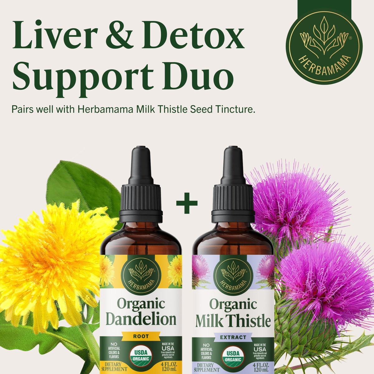 HERBAMAMA USDA Organic Dandelion Root Extract Liver Support - 4 oz - image 7