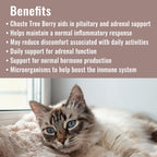 CATZYMES Adrenal Support - Promotes Optimal Bladder Health and Helps