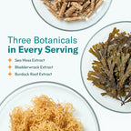 TrueSeaMoss Irish Sea Moss Gummies with Burdock Root - 60 Gummies - image 3