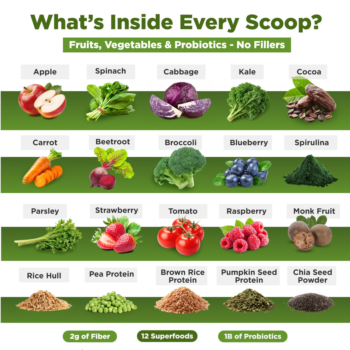 Plantvital Protein Powder Parent