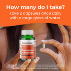 INFINITE AGE Sea Moss Capsules 1250mg Irish Moss Blend - 60 Count - image 5