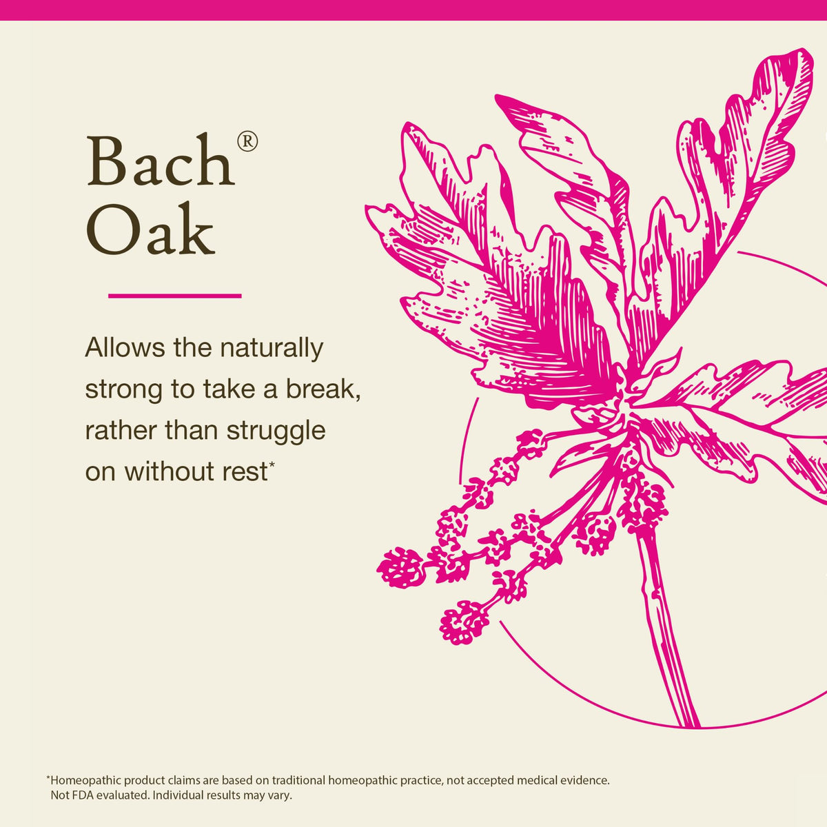 Bach Flower Remedies Oak Essence - 20mL Dropper - image 3