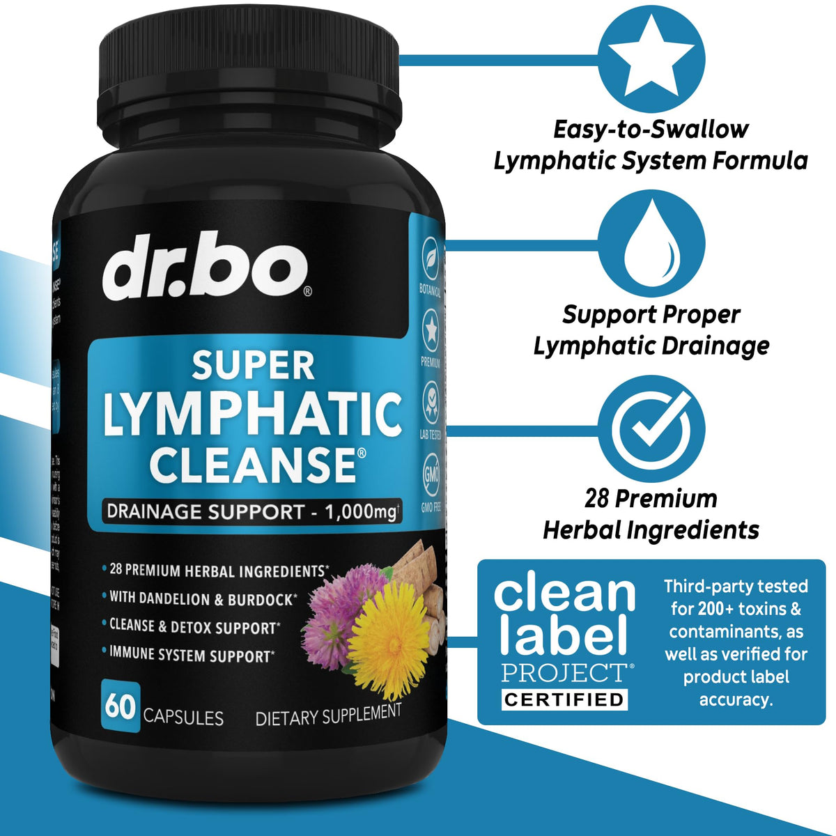 DR. BO Lymphatic Drainage Supplement - 60 Capsules - image 2
