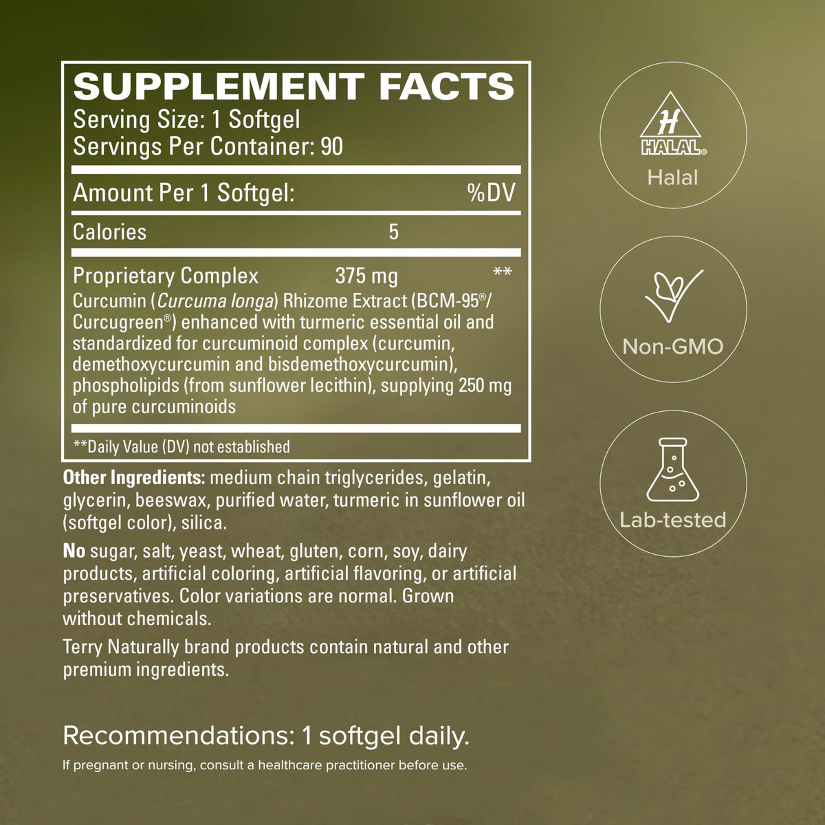 Terry Naturally CuraMed 375mg - Antioxidant Supplement for Brain