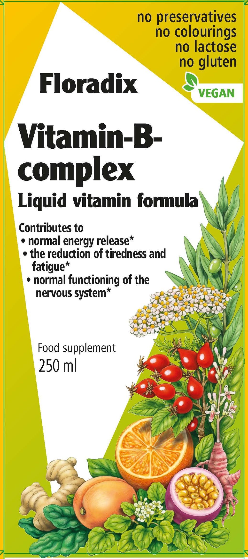 Floradix Vitamin B Complex Liquid Formula - 250 ml