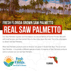 Triquetra Health Saw Palmetto Extract Softgels 320 mg - 60 Softgels - image 6