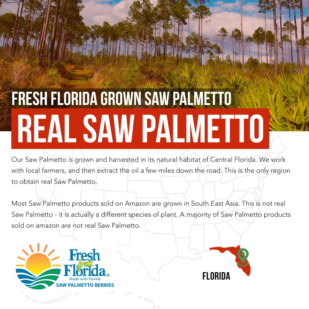 Triquetra Health Saw Palmetto Extract Softgels 320 mg - 60 Softgels - image 6