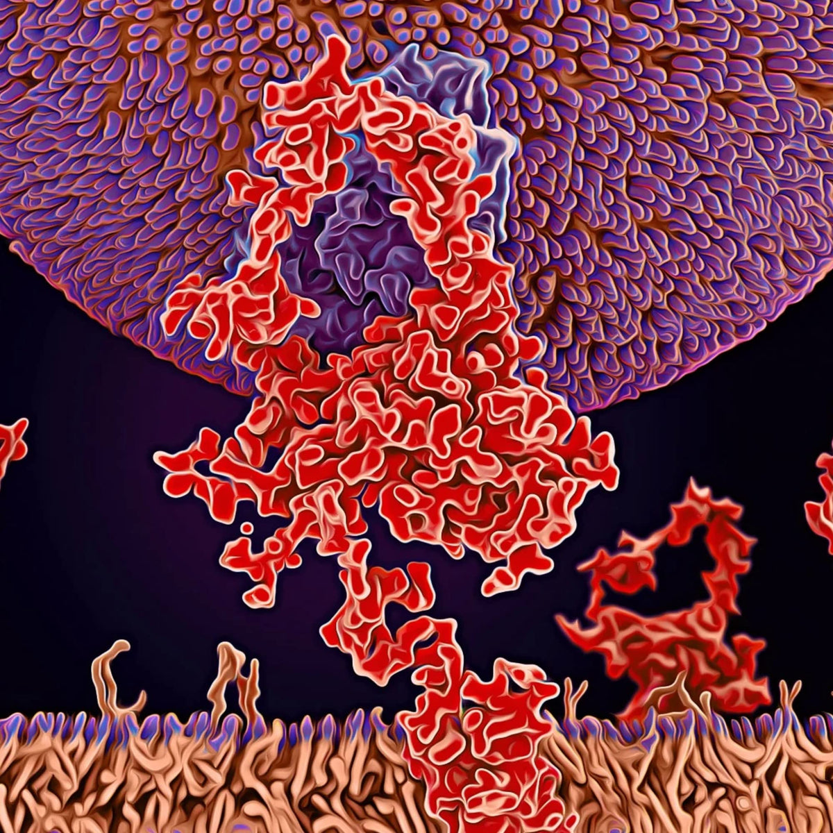 Michael's Health Naturopathic Programs Cholesterol Metabolism Factors - image 4