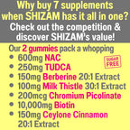 SHIZAM Liver Support Gummies with TUDCA NAC Milk Thistle - 60 Count - image 2
