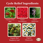Birth Song Botanicals Menstrual Cycle Support Tincture - 1 oz - image 5