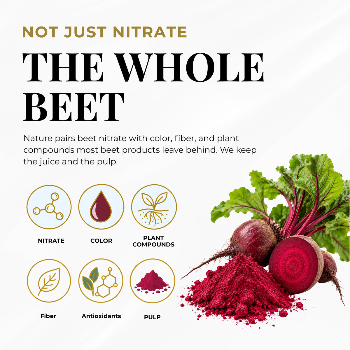 Eclectic Herb Organic Beet Juice Capsules for Energy - 90 Capsules - image 4