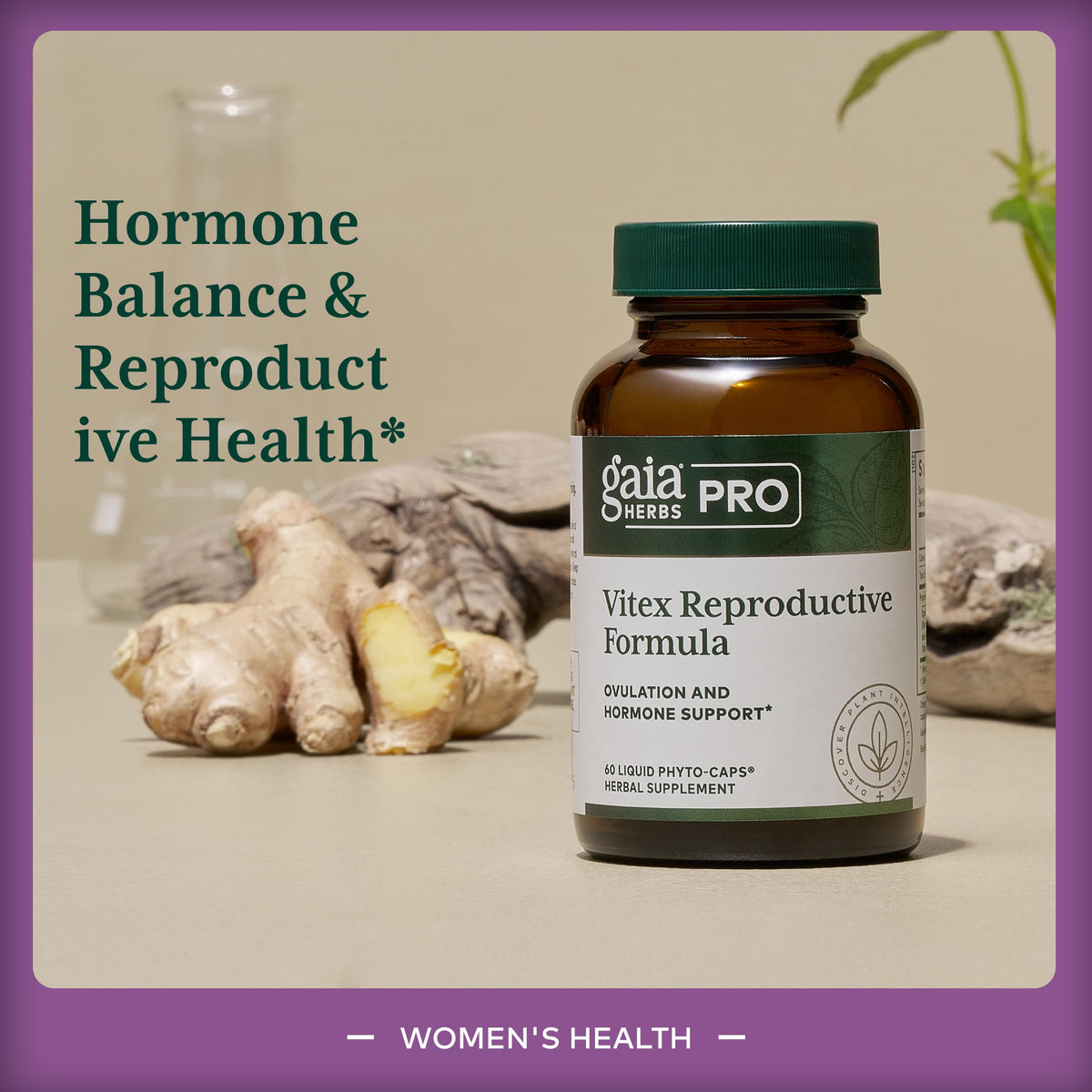 Gaia Herbs PRO Vitex Reproductive Formula - 60 Vegan Capsules - image 3