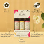 Bach Original Flower Remedies