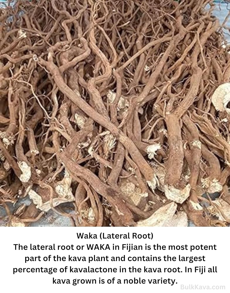 Enjoy Kava Waka Powder Noble Kava Root - 2.5 LB Jar - image 2