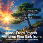 Kaire Super Maritime Prime 120 Pycnogenol French Pine Bark - 60 Tablets - image 3