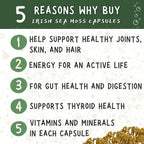 healblend Irish Moss