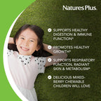 NaturesPlus Animal Parade Probiotic Mixed Berry - 30 Chewables - image 3