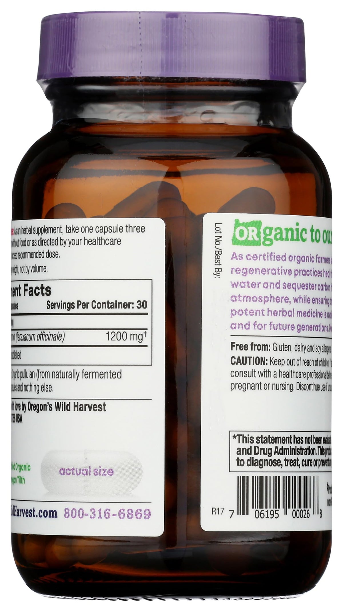 Oregon's Wild Harvest Dandelion Root Organic - 90 Capsules - image 2
