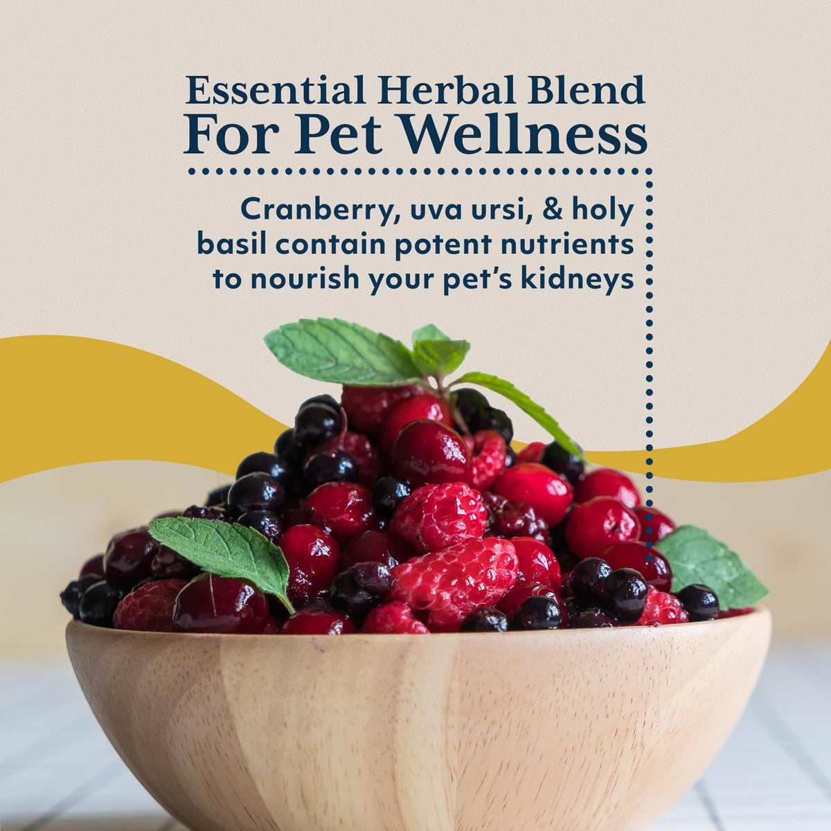 Ayush Herbs Pet Rentone Kidney Support for Dogs & Cats - 2 fl oz - image 4