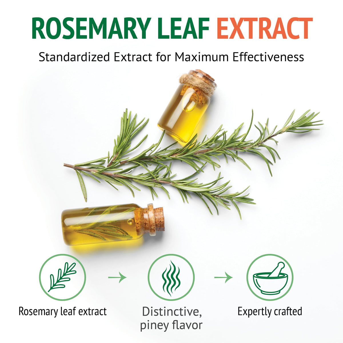 Botanic Choice Rosemary Leaf Liquid Extract - 1 Fl Oz - image 4