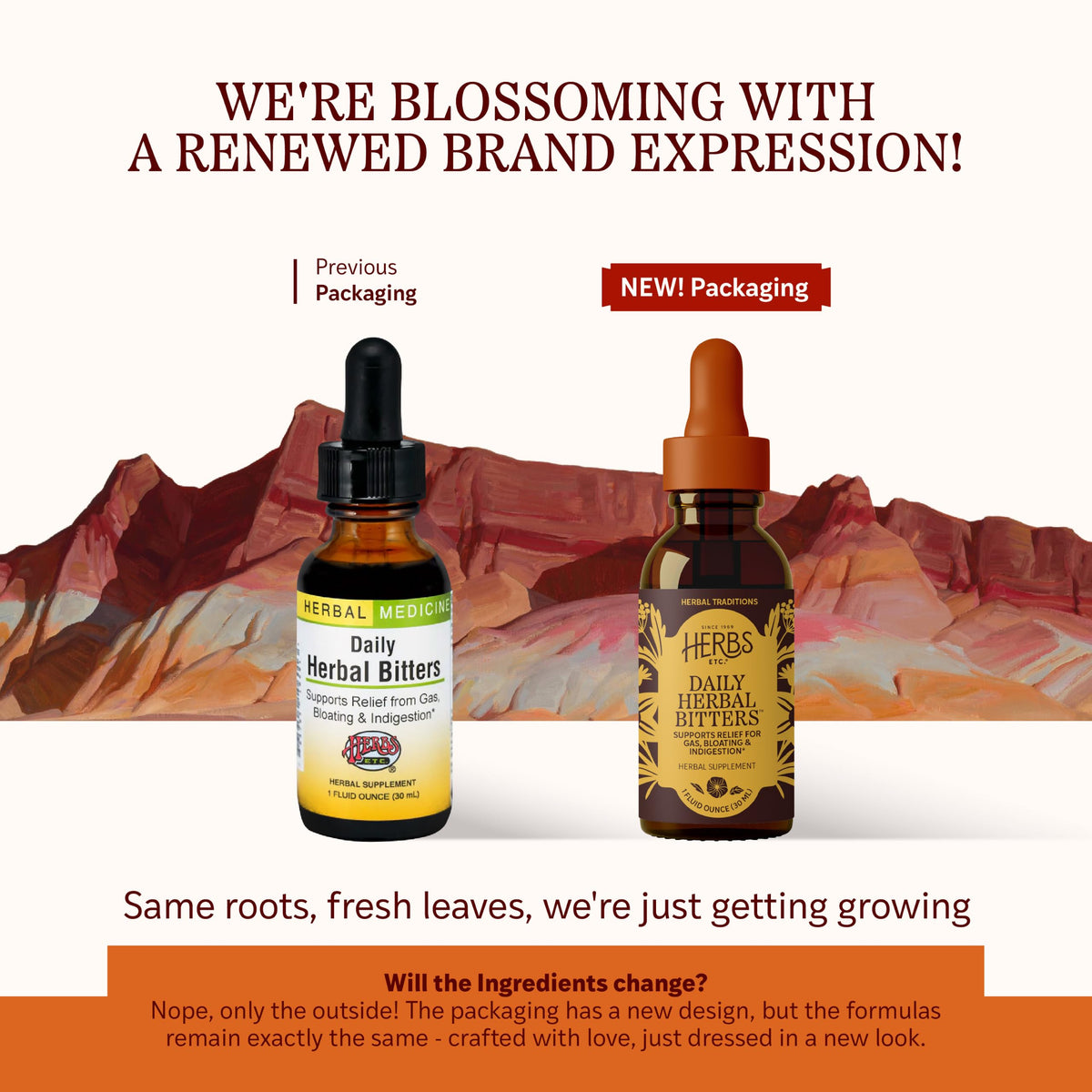 Herbs Etc. Daily Herbal Bitters Classic Liquid Extract - 1 fl oz - image 2