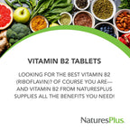 NaturesPlus Vitamin B2 250 mg Sustained Release - 60 Tablets - image 3