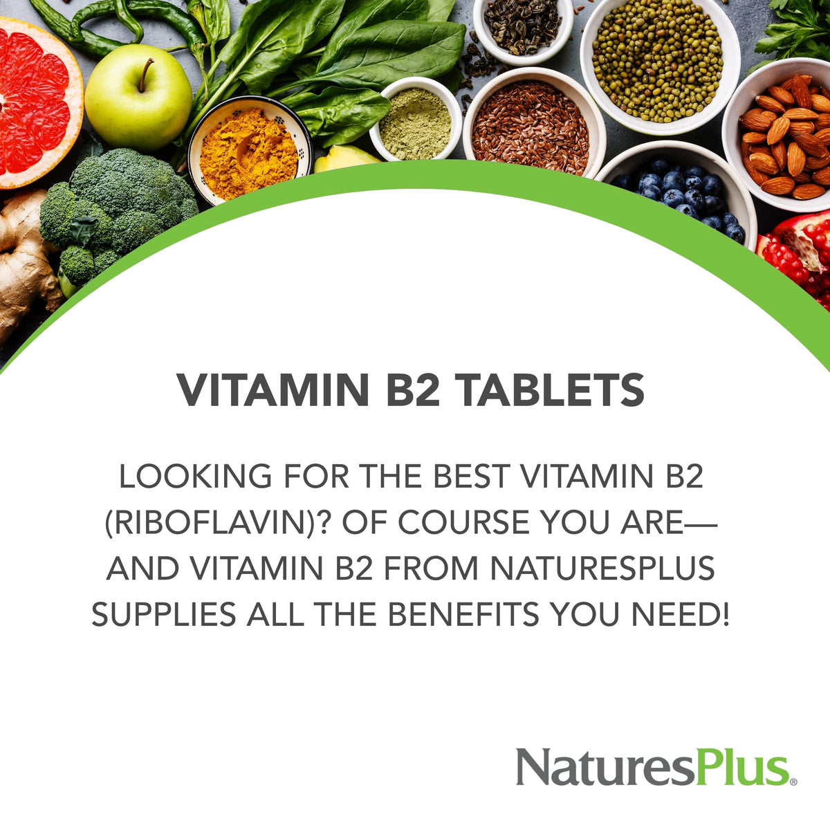 NaturesPlus Vitamin B2 250 mg Sustained Release - 60 Tablets - image 3