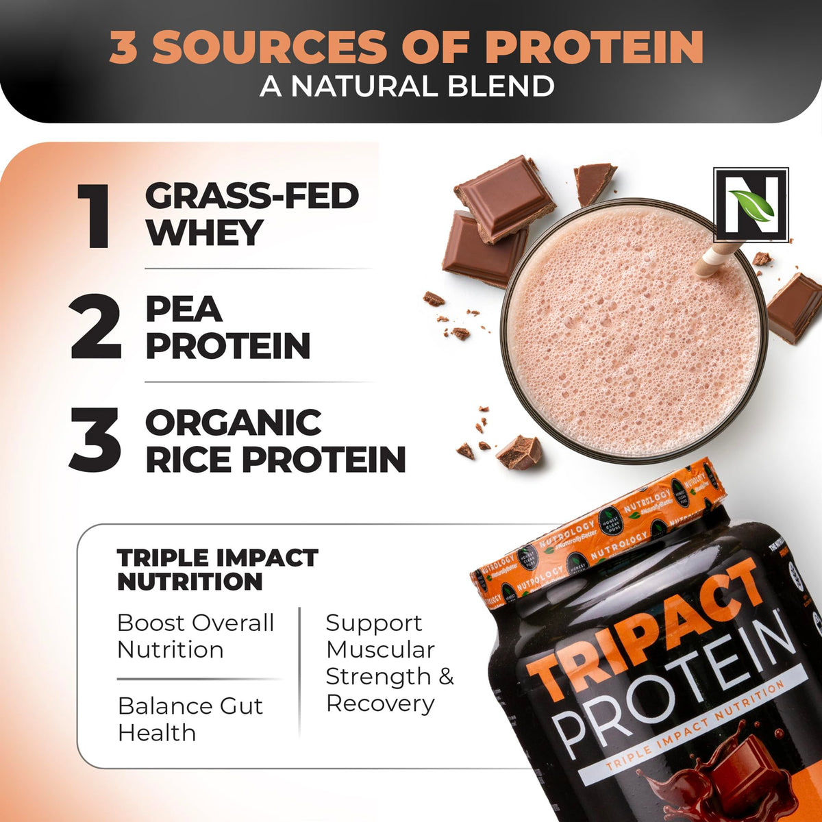 Nutrology TRIPACT Protein Powder - 7-in-1 Meal Replacement Shake
