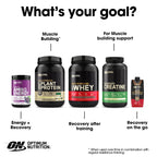 Optimum Nutrition Amino Energy Powder