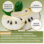 UR Treasure Nutrition Graviola Supplement Parent - Count Variation