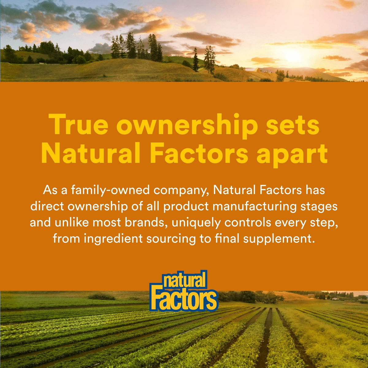 Natural Factors Complete B 100 mg Time Release - 90 Tablets - image 7