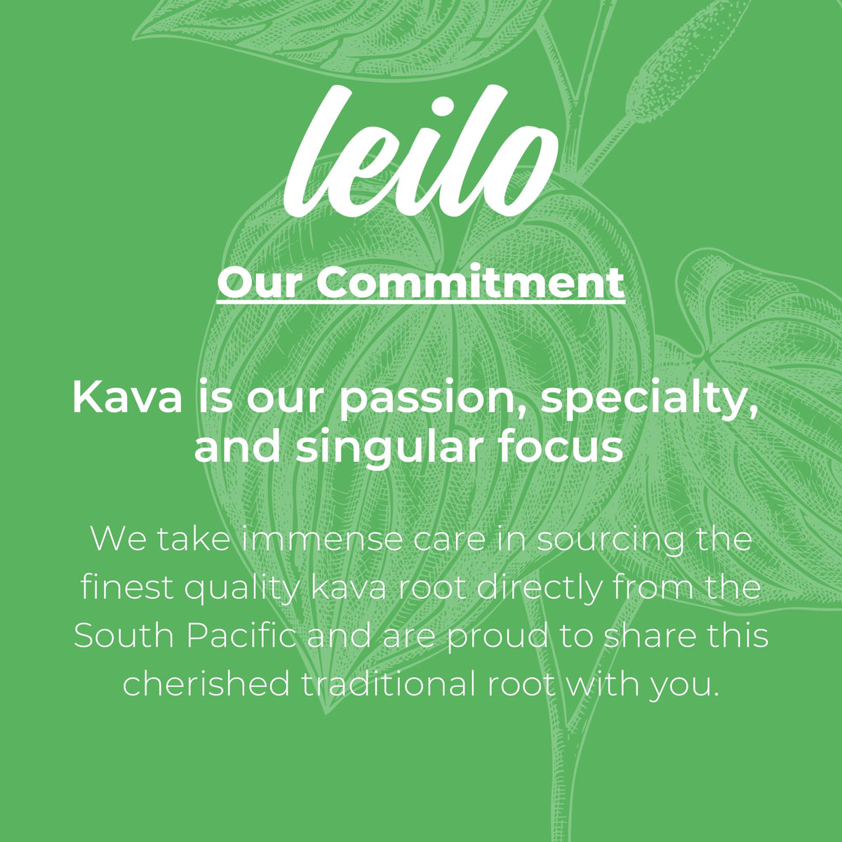 LEILO, Relaxation Drink Powered by Kava