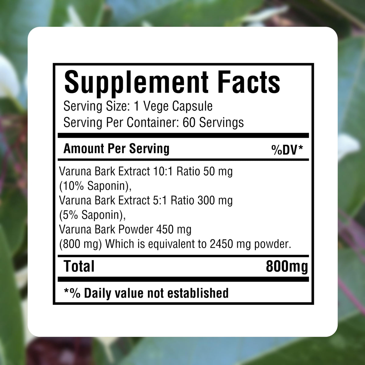 Herbsforever Varuna Extract Capsules for Bladder & Kidney - 60 Capsules - image 6