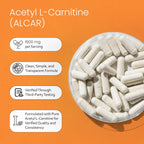 NaturaLife Labs Acetyl L-Carnitine 1500 mg - 100 Capsules - image 4