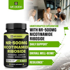 WELBUDA 5in1+ Nicotinamide Riboside Supplement - 90 Capsules - image 3