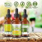 Amala Vegan Omega-3 Liquid Supplement Plant-Based DHA EPA - 60 Doses - image 2