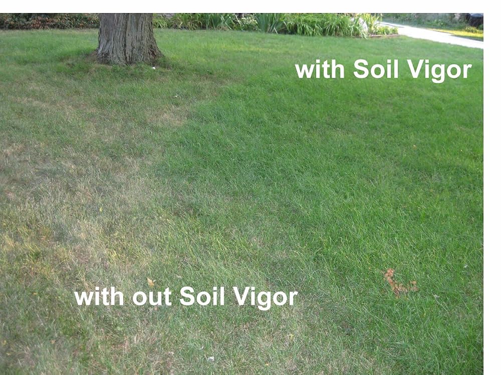Soil Vigor Water Storing Crystals Soil Amendment - 20 LB - image 4