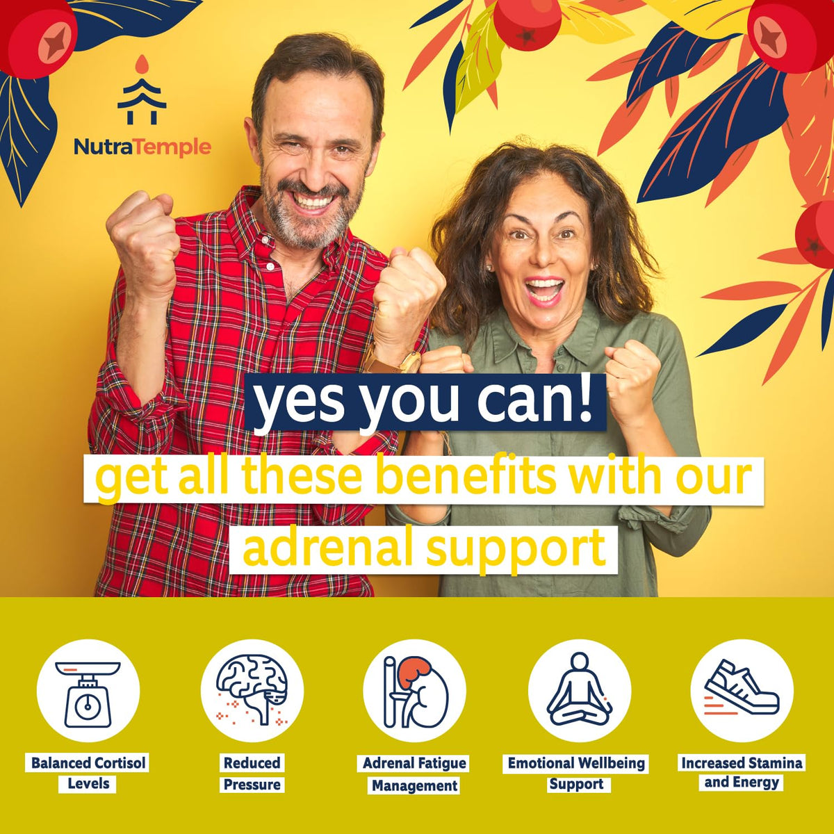 NUTRATEMPLE Adrenal Support Ashwagandha Supplement - 60 Capsules - image 6