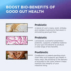 Dr. Emil Prebiotic, Probiotic & Postbiotic Complex, 60 Capsules