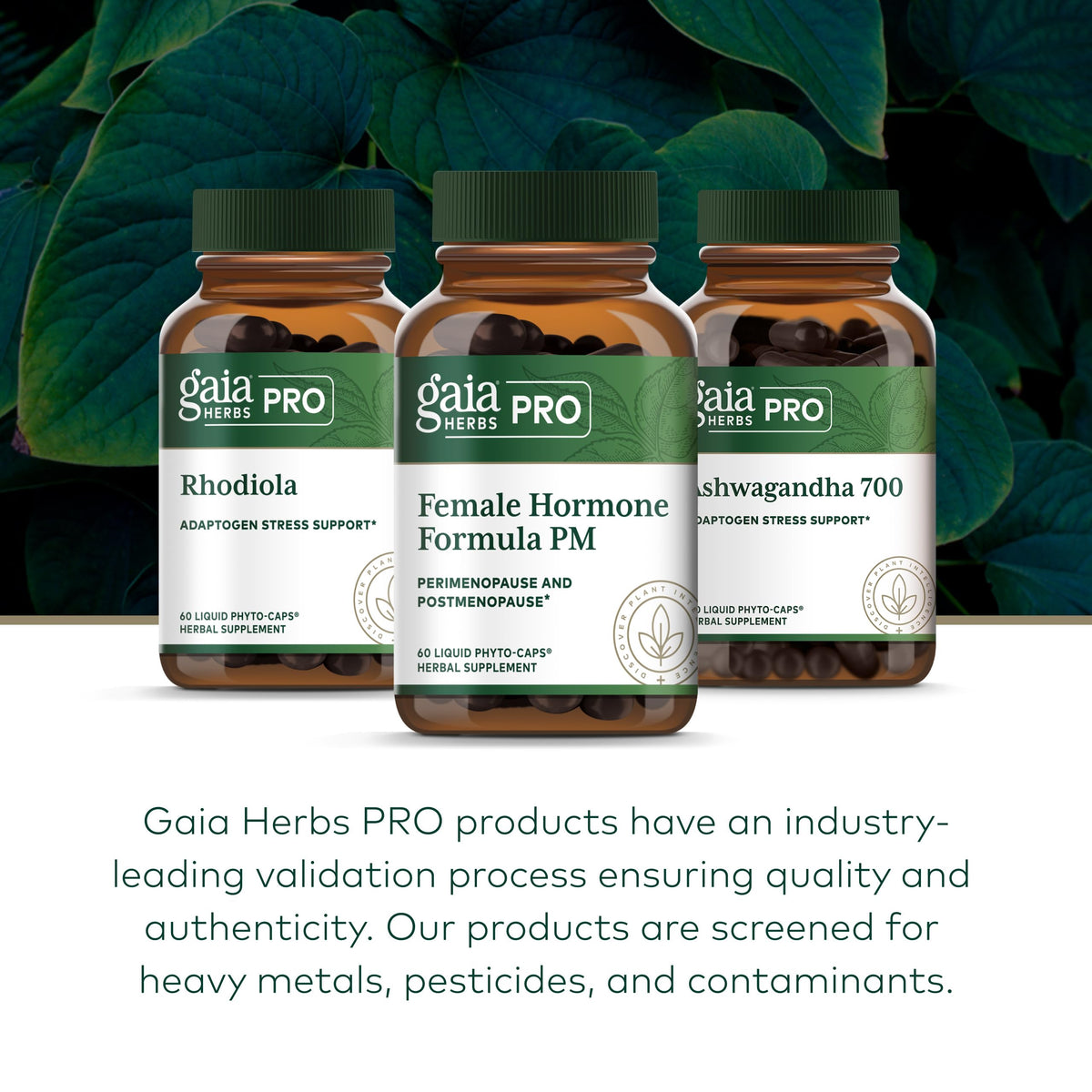Gaia Herbs PRO Female Hormone Formula PM - 60 Vegan Capsules - image 6