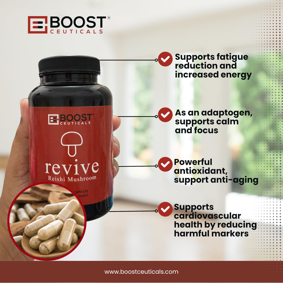 BoostCeuticals Reishi Mushroom 900mg Vegan Supplement - 100 Capsules - image 5